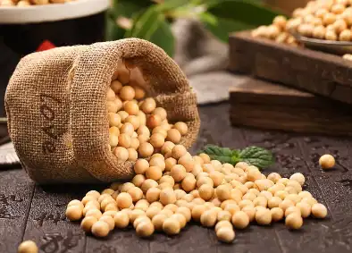 Soy Sterols Soy Sterols