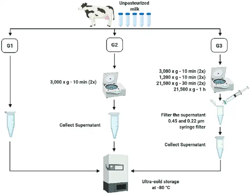 Pure Bovine Colostrum Powder Pure Bovine Colostrum Powder
