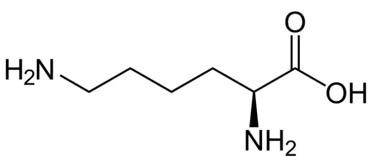 Pure L-lysine Powder Pure L-lysine Powder