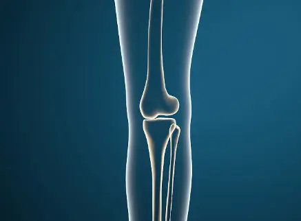 Pure L-lysine Powder Pure L-lysine Powder