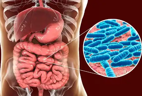 Starfruit Powder Starfruit Powder