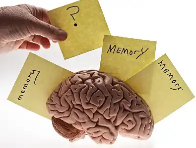 Tetrahydrocurcuminoids powder Tetrahydrocurcuminoids powder