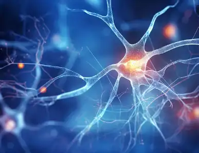 Algal DHA Powder Algal DHA Powder