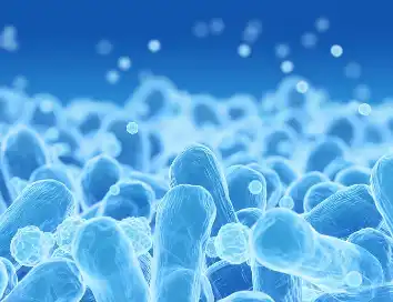 Vitamin B5 Powder Vitamin B5 Powder