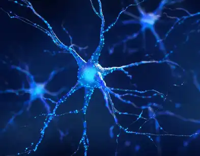 Pyrroloquinoline Quinone PQQ Pyrroloquinoline Quinone PQQ