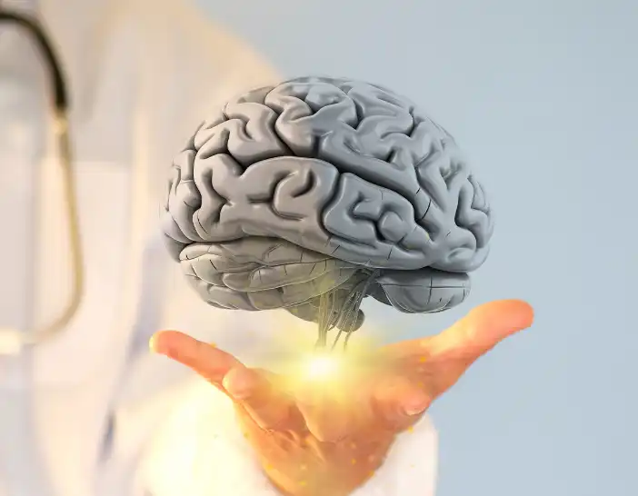 Pyrroloquinoline Quinone PQQ Pyrroloquinoline Quinone PQQ