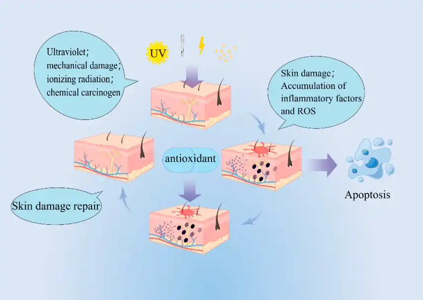 Troxerutin powder Troxerutin powder
