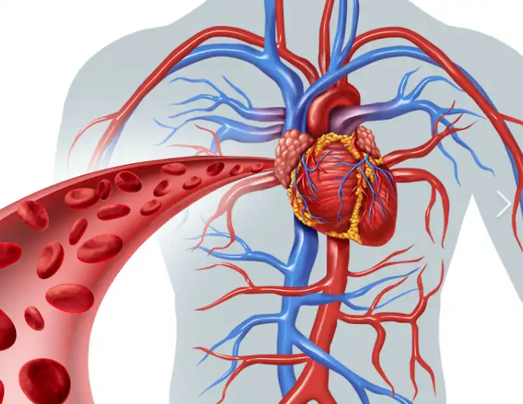 Troxerutin powder Troxerutin powder