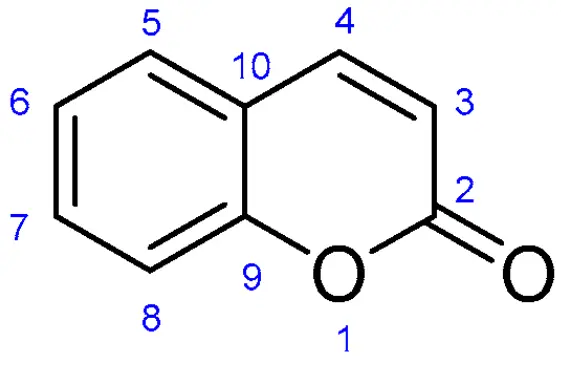 Coumarin Powder Coumarin Powder