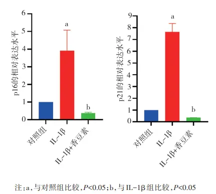 Coumarin Powder Coumarin Powder