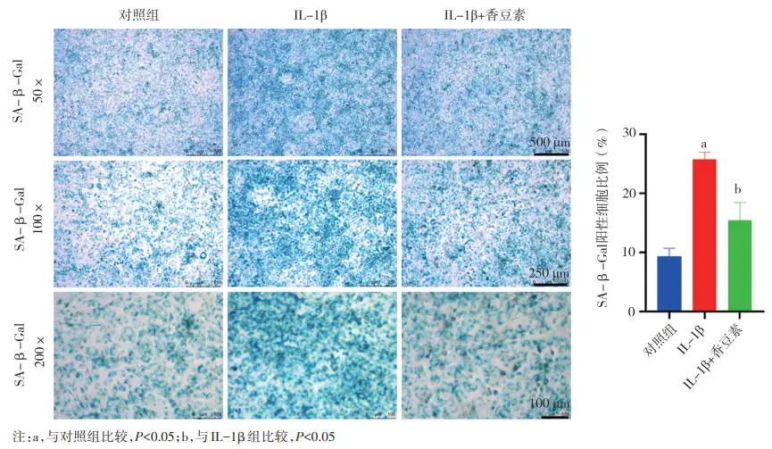 Coumarin Powder Coumarin Powder