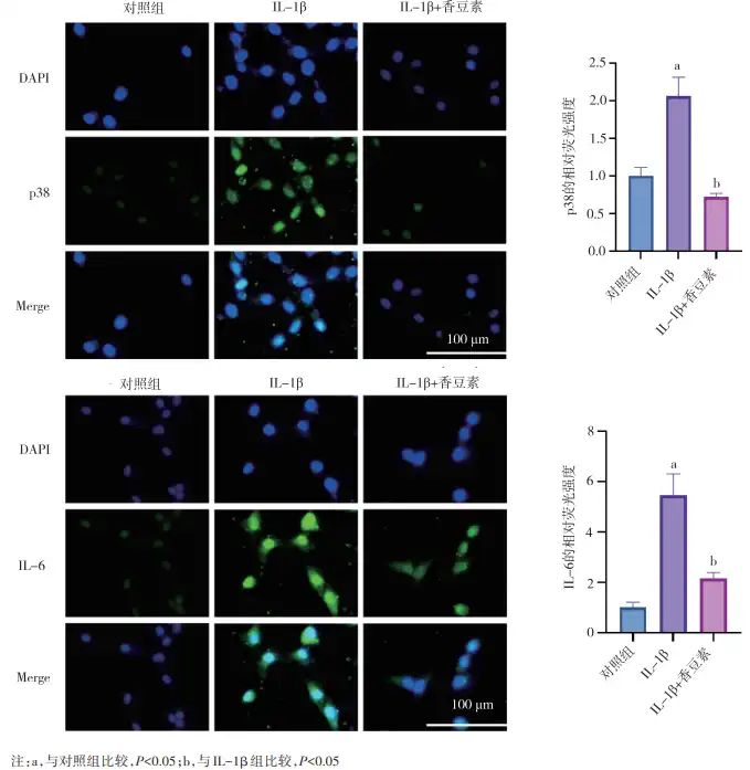 Coumarin Powder Coumarin Powder
