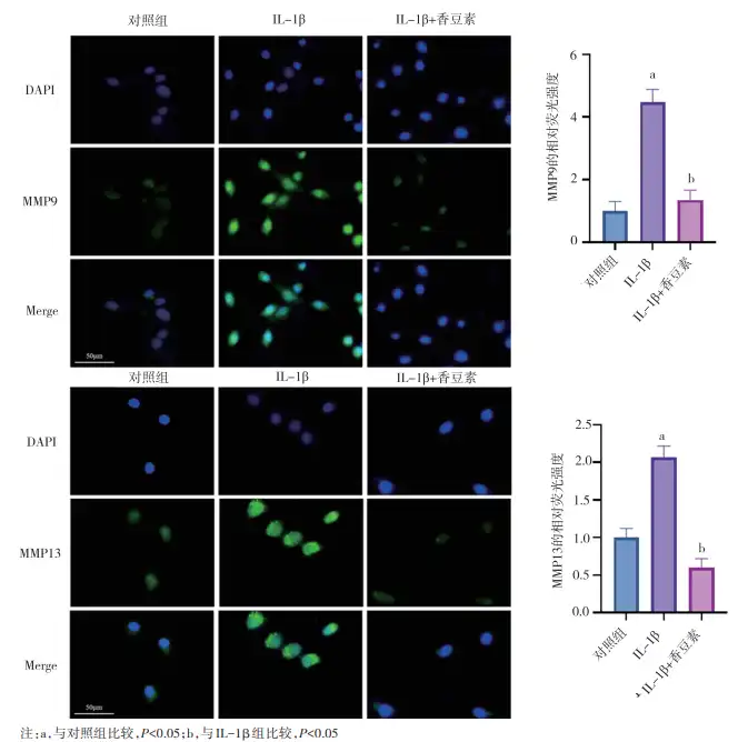 Coumarin Powder Coumarin Powder