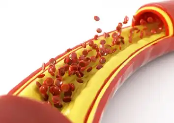 2,4-Hexadienoic Acid 2,4-Hexadienoic Acid