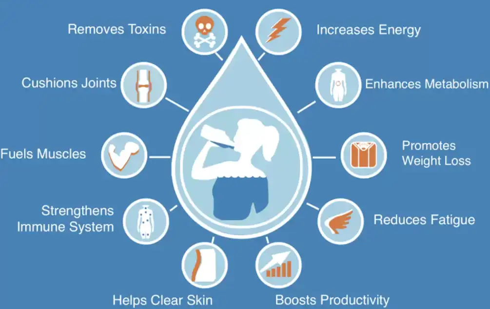 chlorophyll magnesium sodium salt chlorophyll magnesium sodium salt