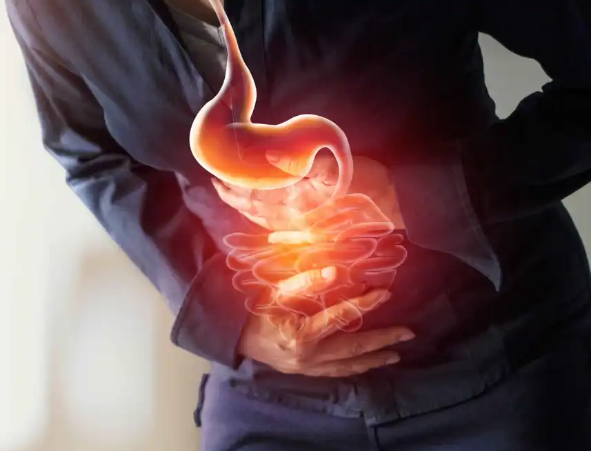 Pepsin Powder Pepsin Powder