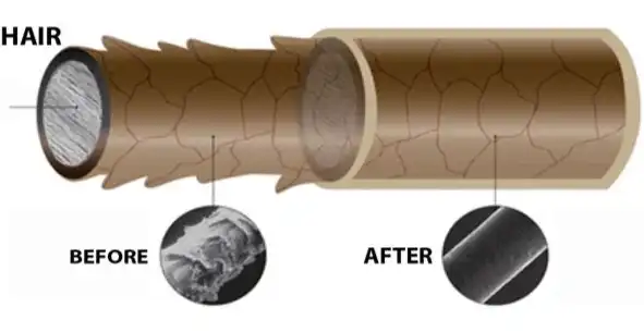 hydrolyzed keratin hydrolyzed keratin