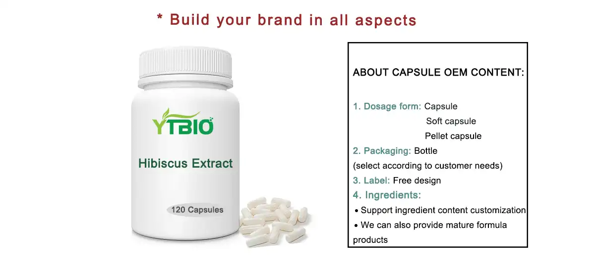 Hibiscus Extract Powder