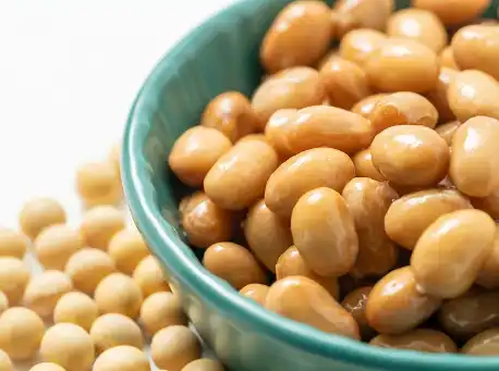Nattokinase