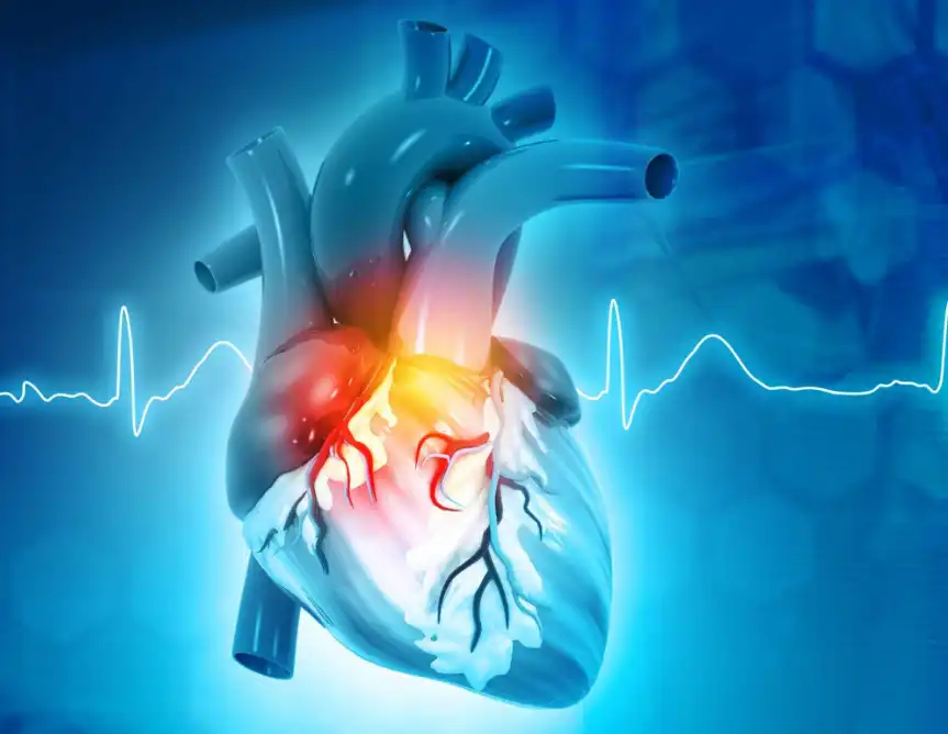 Nattokinase Nattokinase