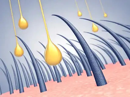 ​​​​​​​Zinc Pyrithione
