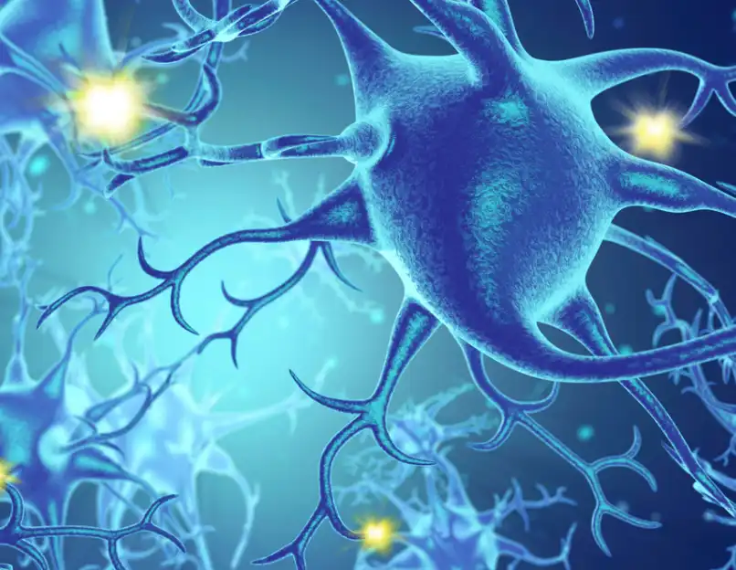 Tetrahydropiperine Tetrahydropiperine