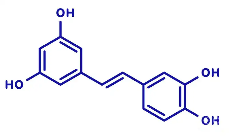 Piceatannol Piceatannol