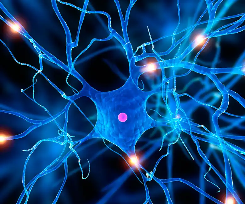 Piceatannol Piceatannol