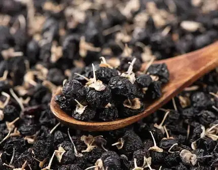 Black Wolfberry Extract Black Wolfberry Extract