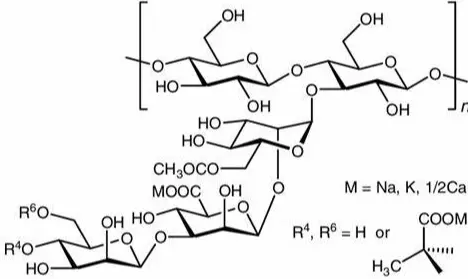 Xanthan Gum Powder