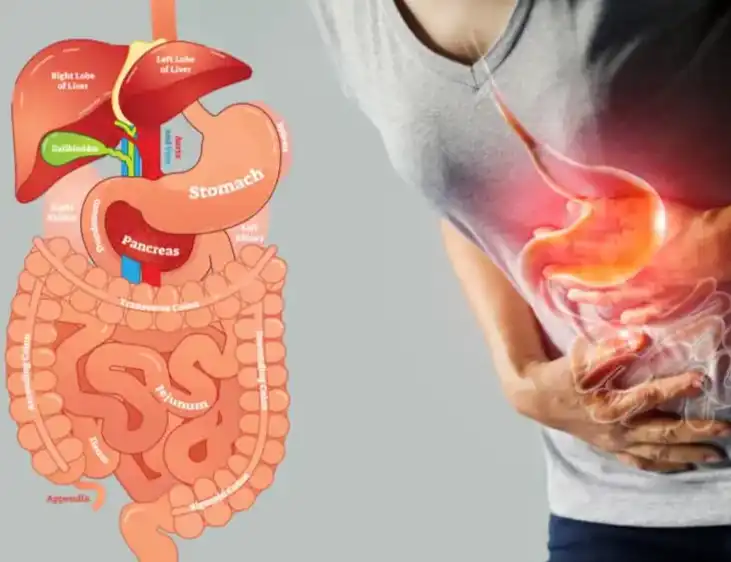 Xanthan Gum Powder Xanthan Gum Powder