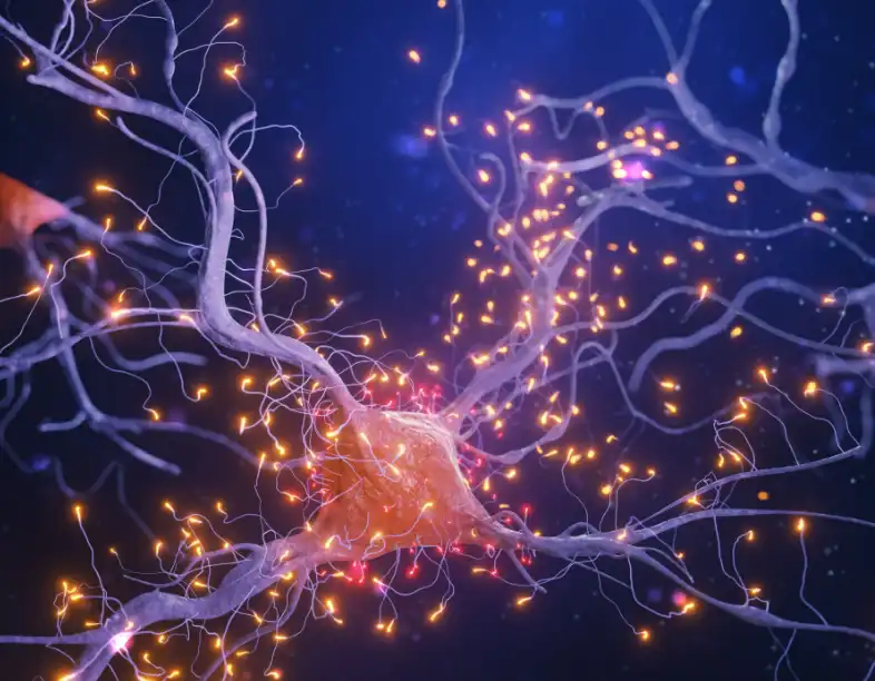 Glycerophosphocholine Glycerophosphocholine