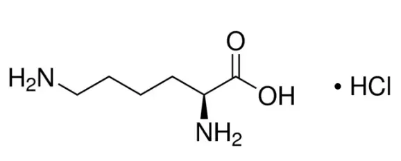 Lysine Hydrochloride Powder