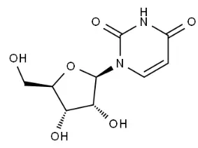 Uridine Powder
