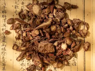 Danshen Root Extract