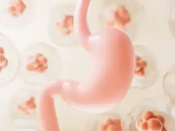 Trichosanthes Fruit Extract Trichosanthes Fruit Extract