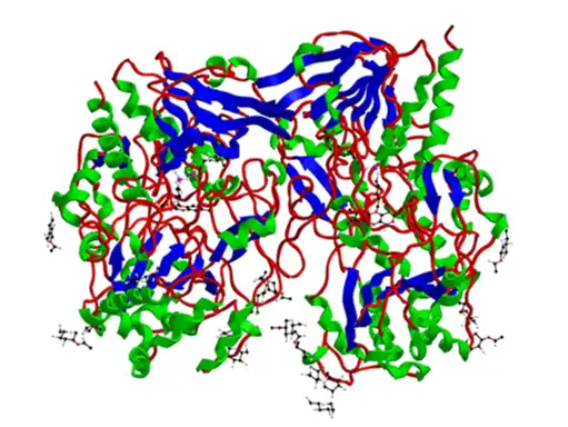 Glucose Oxidase Powder