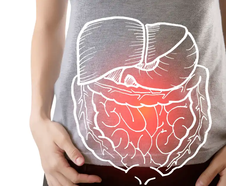 Glucose Oxidase Powder Glucose Oxidase Powder