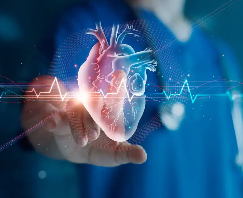 Black Bean Extract Black Bean Extract