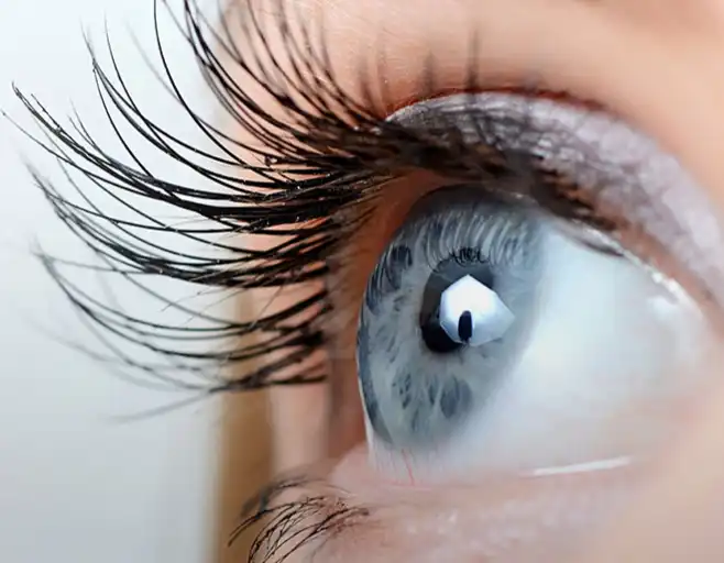 Dunaliella Salina powder Dunaliella Salina powder