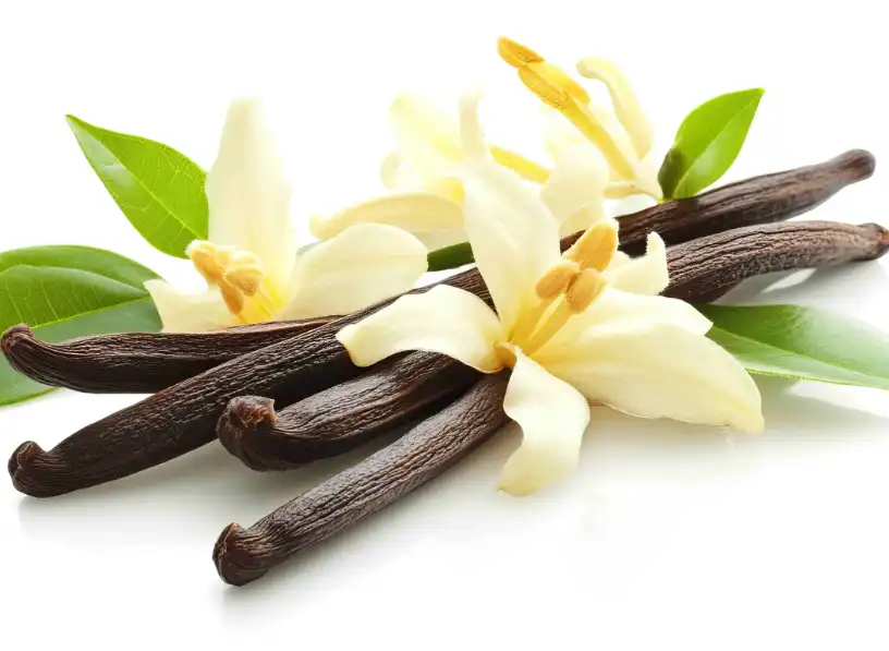Vanillin powder