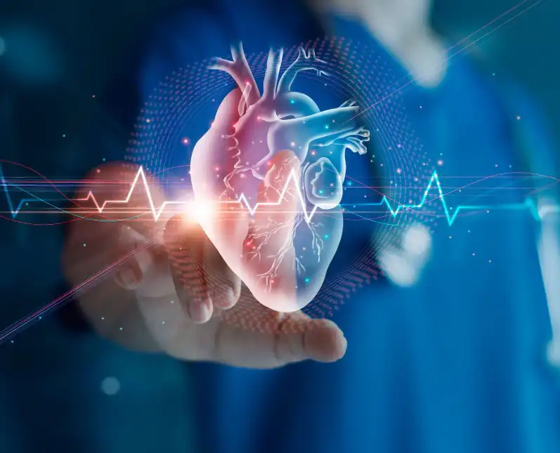 Kumquat Powder Kumquat Powder