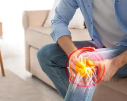 Collagen Type II Powder Collagen Type II Powder