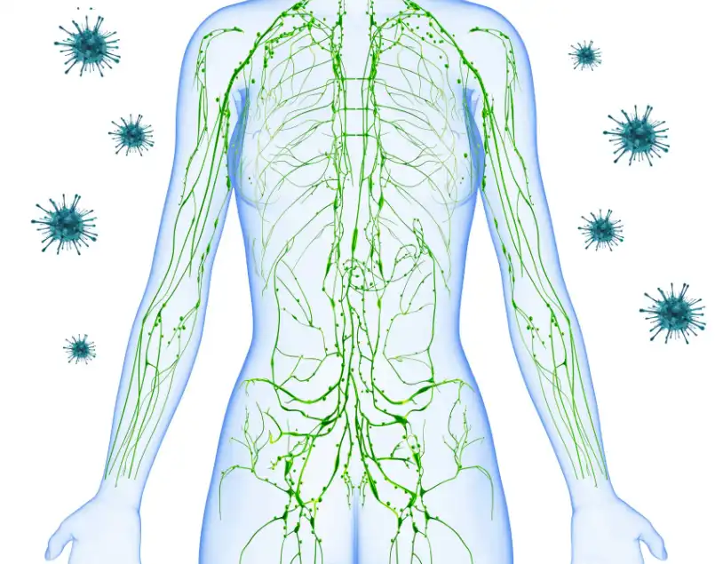 CAPE Powder CAPE Powder