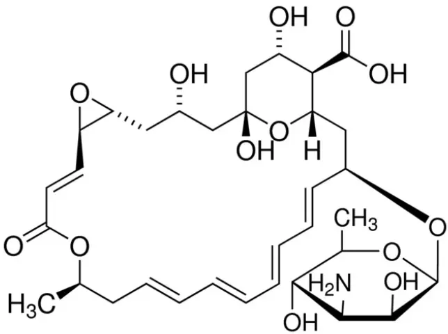 Natamycin Powder Natamycin Powder