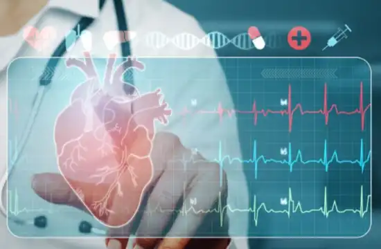 ergosterol powder ergosterol powder