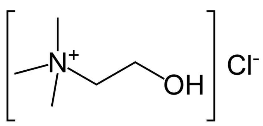 Choline Chloride Powder Choline Chloride Powder