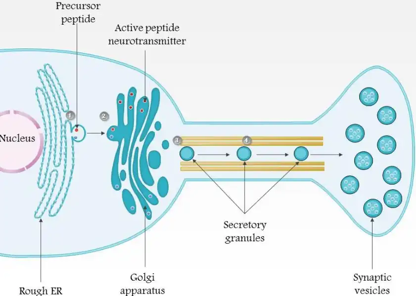 Choline Chloride Powder Choline Chloride Powder