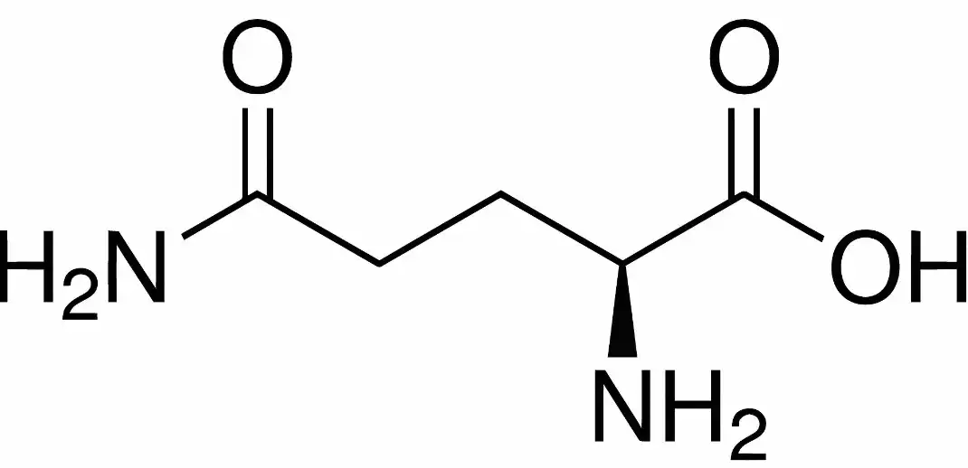 Bulk L-Glutamine Powder Bulk L-Glutamine Powder