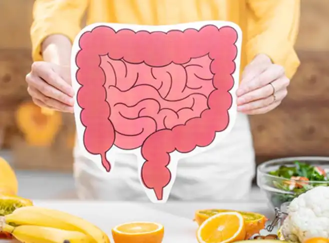 Bulk L-Glutamine Powder Bulk L-Glutamine Powder